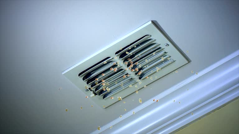 Best Dryer Vent Cleaning Services  in Bottineau, ND