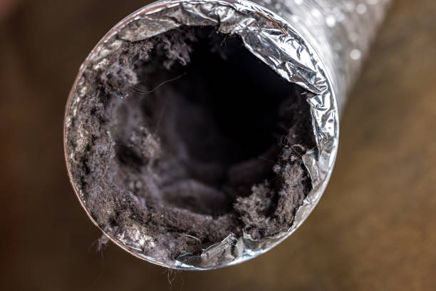 Best HVAC Air Duct Cleaning  in Bottineau, ND