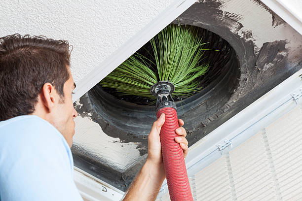Best Affordable Duct Cleaning Services  in Bottineau, ND